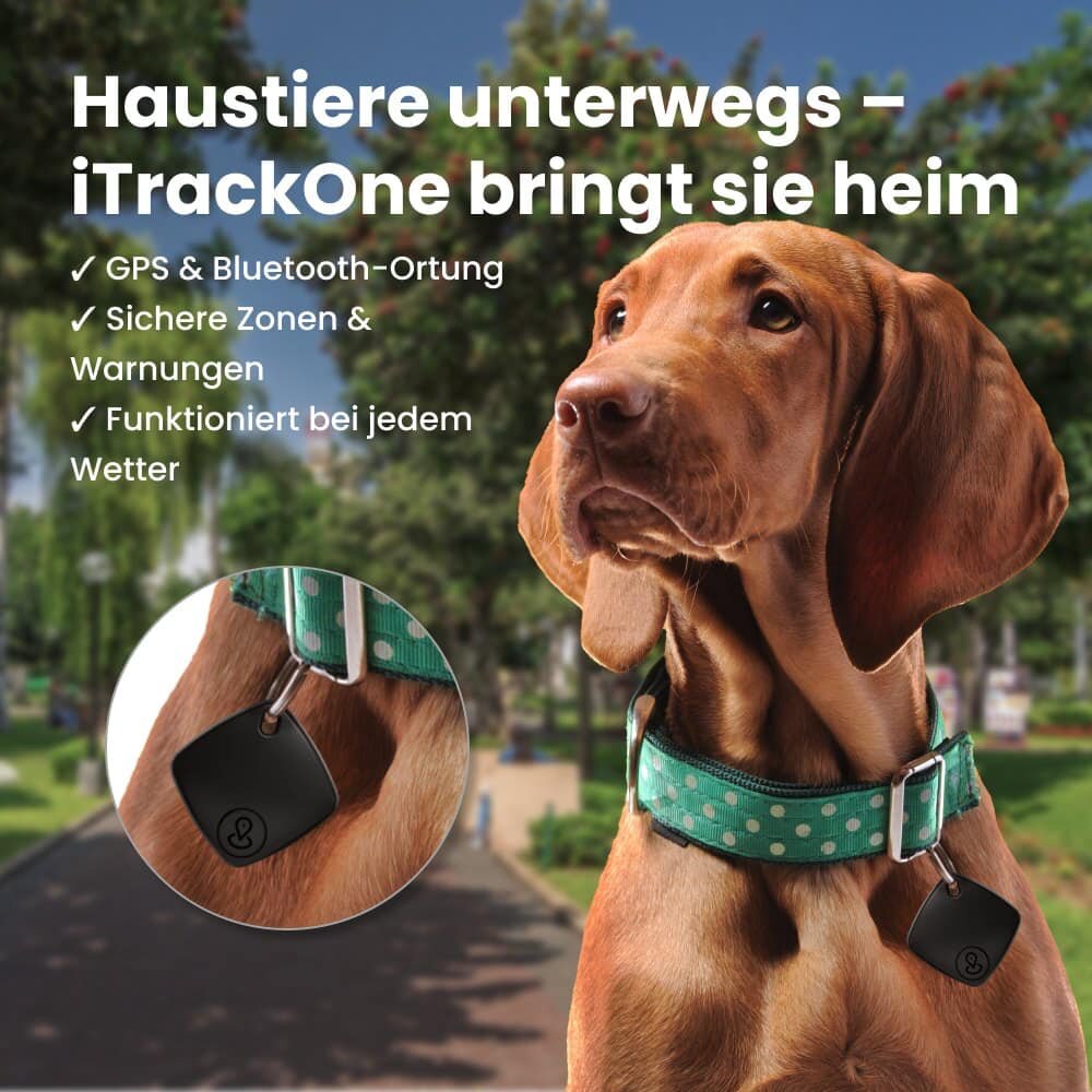 iTrackOne image
